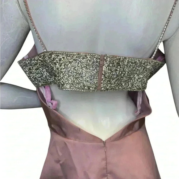 Pink By Alexia Designs Ball Gow Backless Ptom Dress Size 12. - Picture 11 of 15
